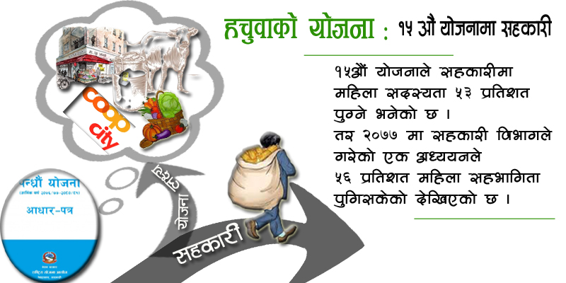 योजनामा सहकारी: लक्ष्य भेट्टाउने मात्र हैन, तय गर्नै समस्या 